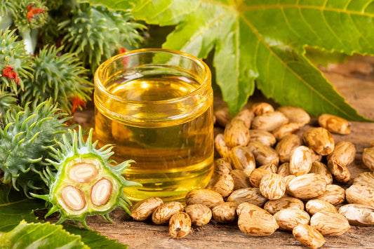 Castor Seed Oil